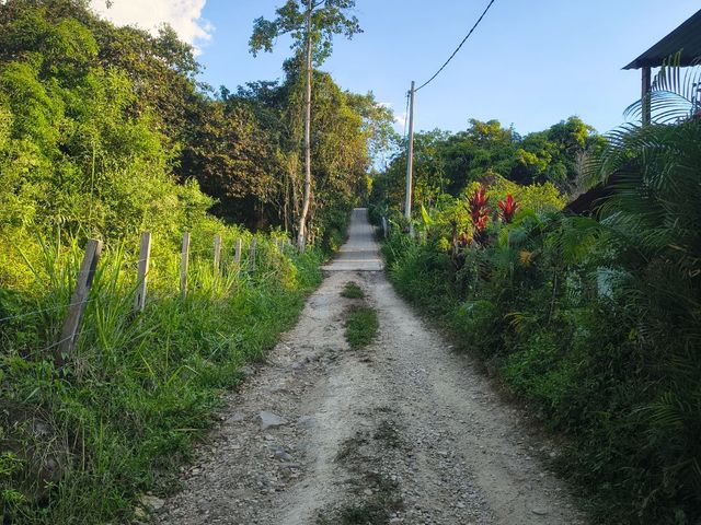 place photo 15