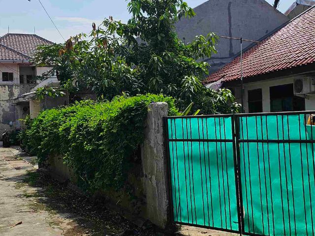 place photo 9