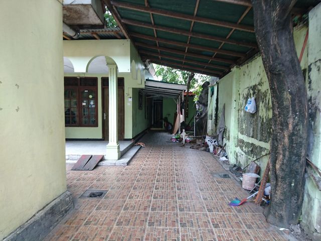 place photo 24