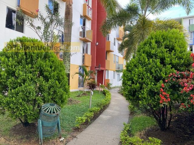 place photo 20