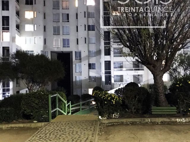 place photo 65