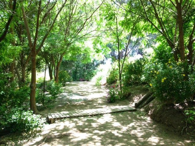 place photo 59