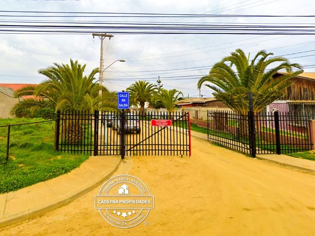 place photo 12