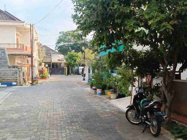 place photo 11