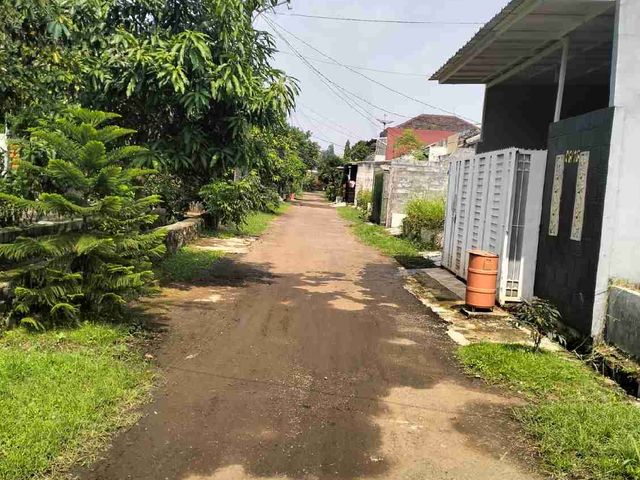 place photo 12