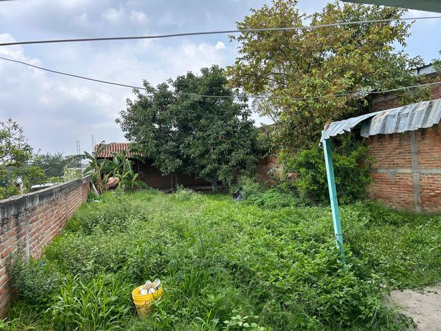 place photo 22