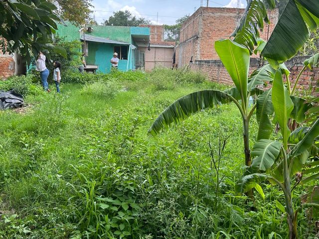 place photo 23