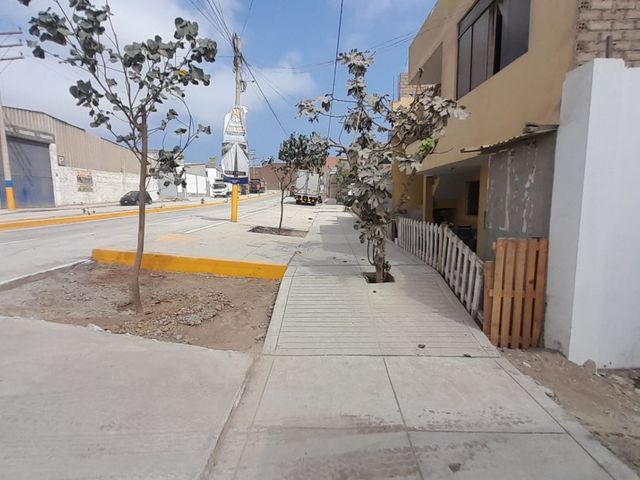 place photo 31