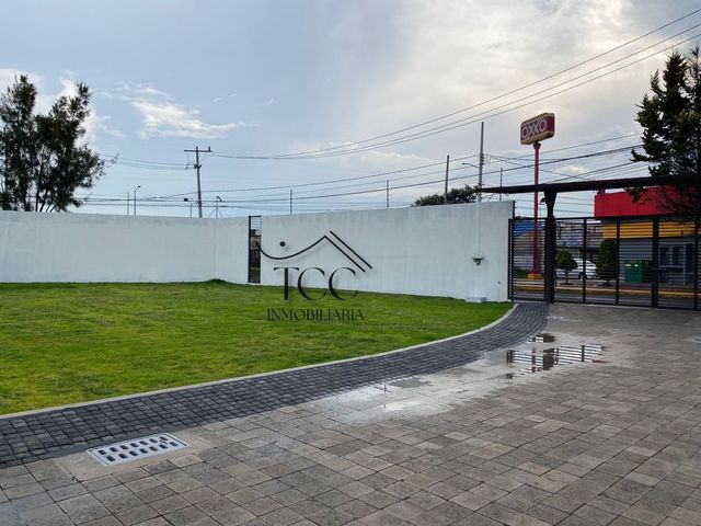 place photo 36