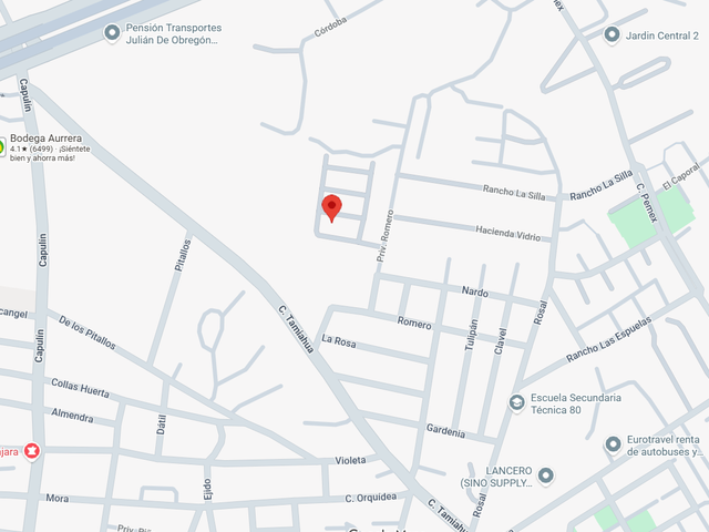 place photo 7