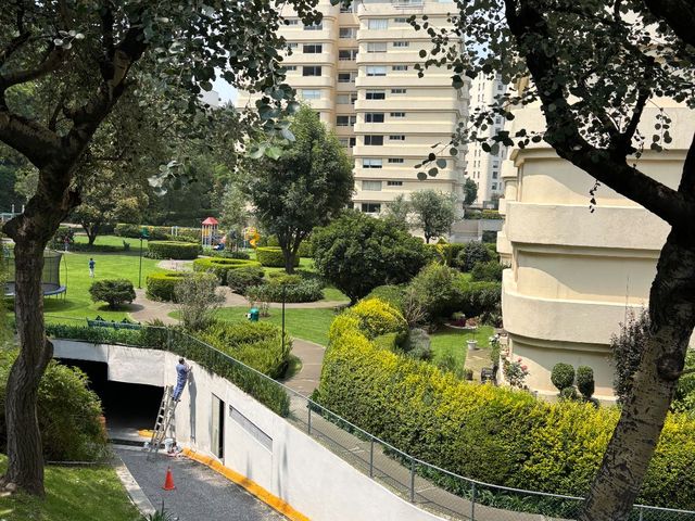 place photo 33