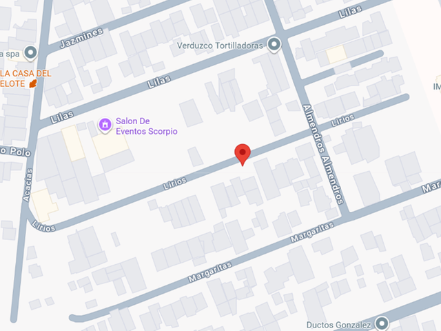 place photo 8
