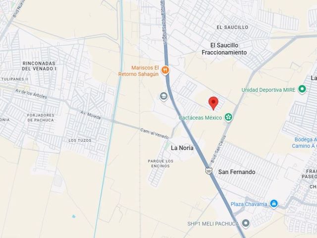 place photo 5