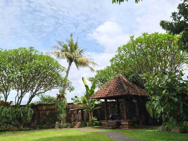 place photo 19