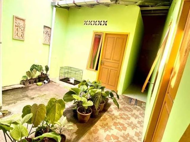 place photo 11