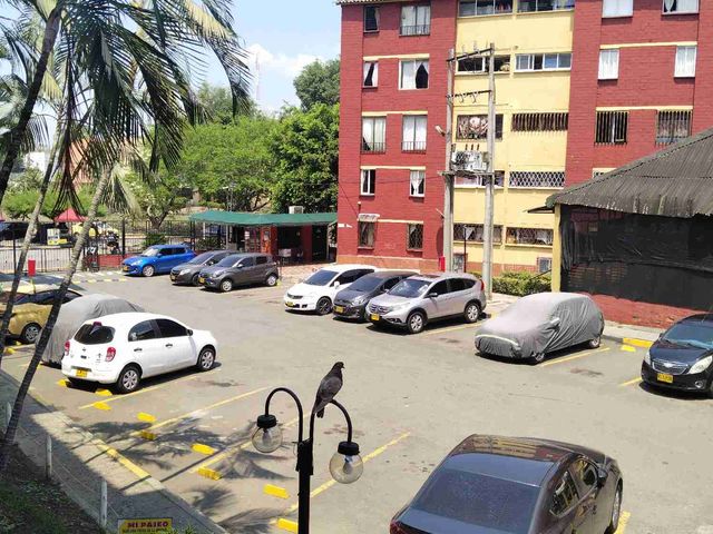 place photo 18