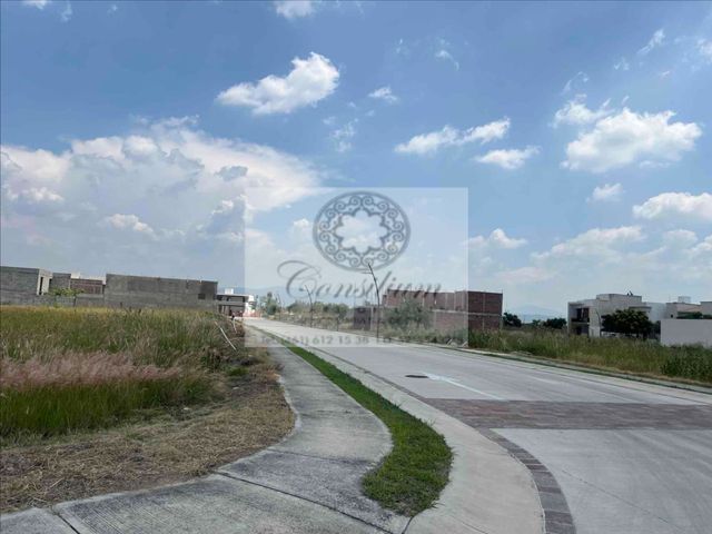 place photo 31