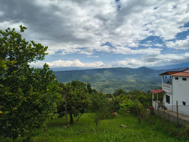 place photo 28