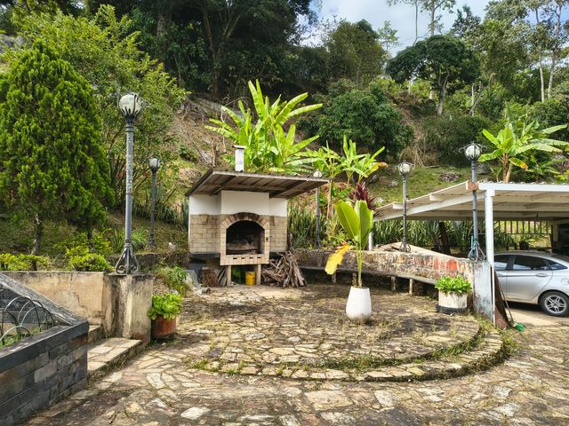 place photo 24