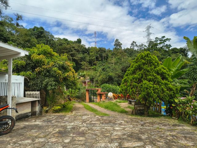 place photo 26
