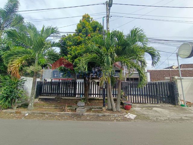 place photo 19