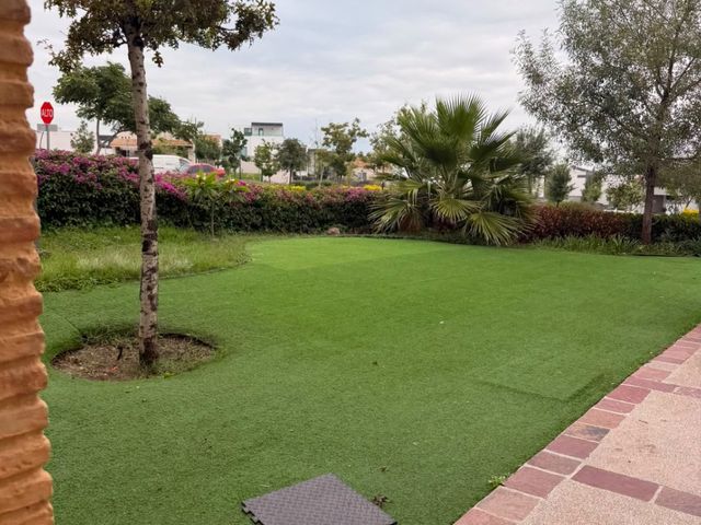 place photo 57