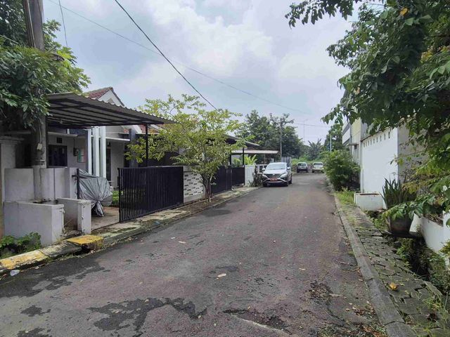 place photo 18