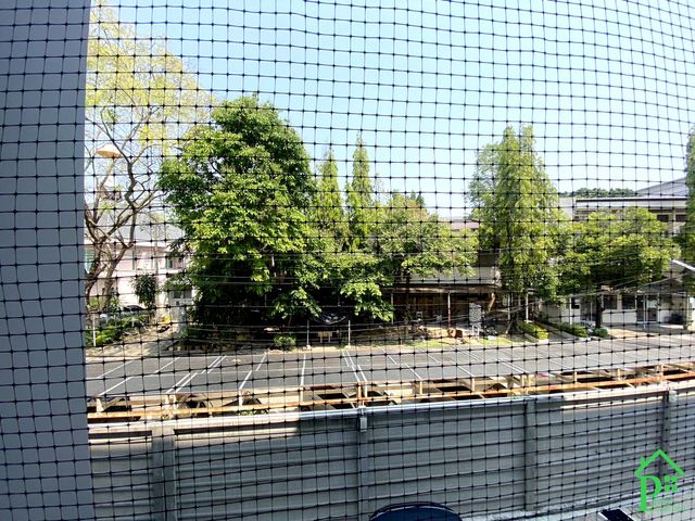 place photo 8