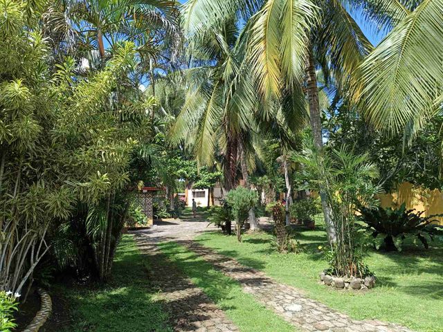 place photo 17