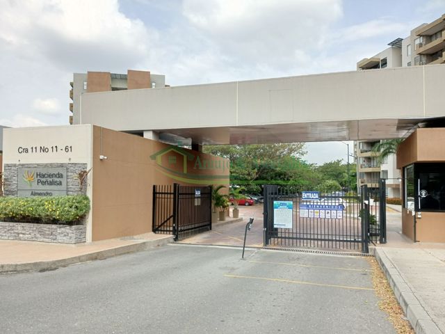 place photo 26
