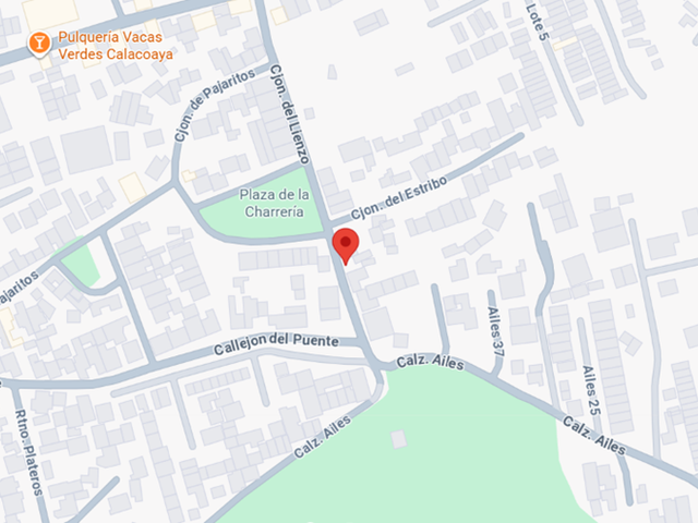 place photo 11