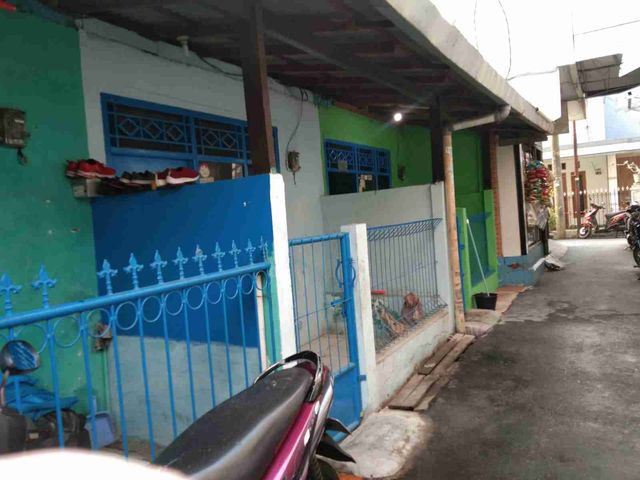 place photo 5