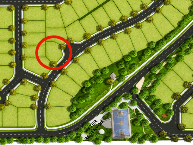 place photo 4