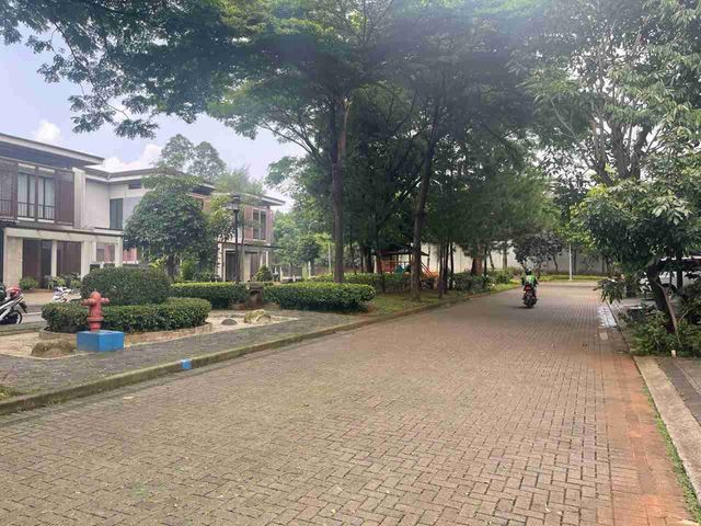 place photo 18