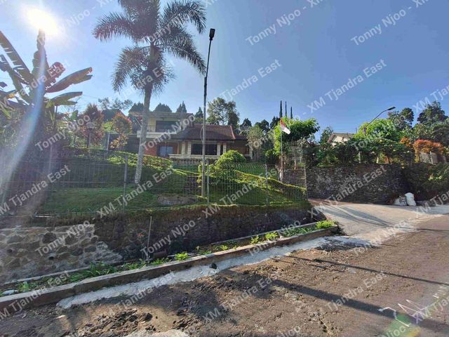 place photo 18