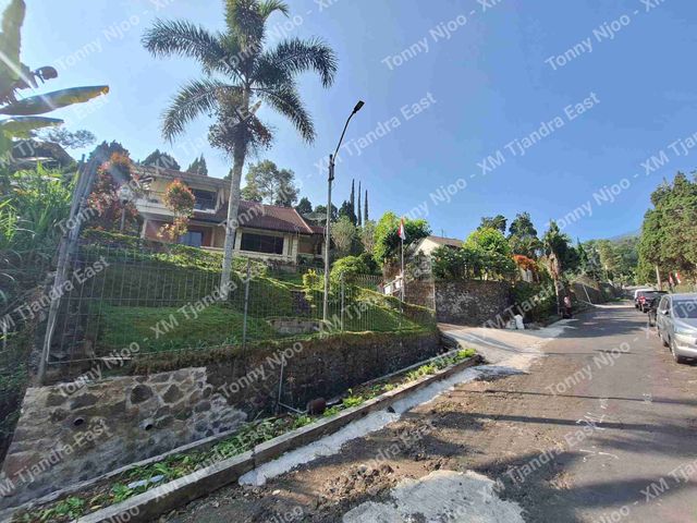 place photo 19