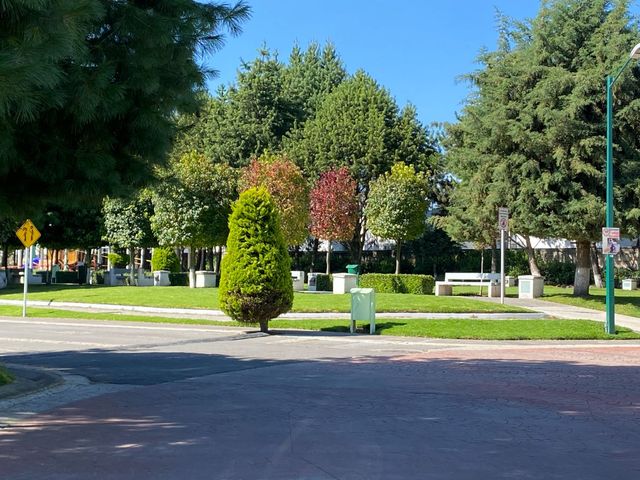 place photo 27