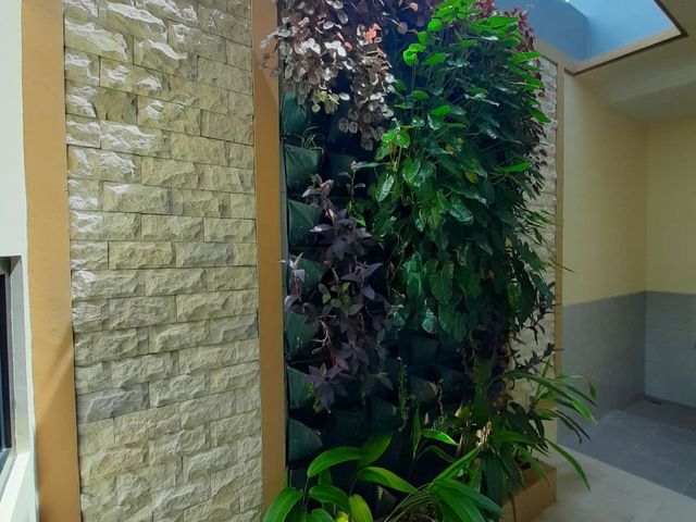 place photo 49