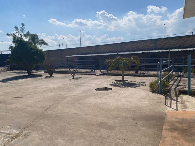 place photo 23