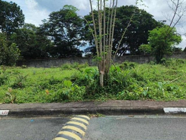 🌿 FOR SALE: Prime Residential Lot in Tagaytay Heights Subdivision, Tagaytay City