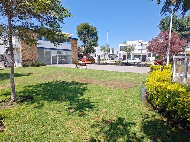 place photo 33