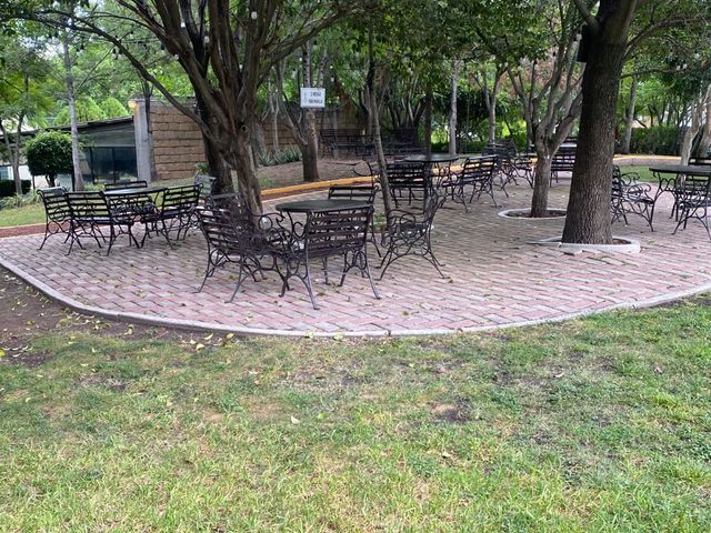 place photo 38