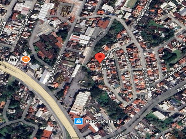 place photo 16