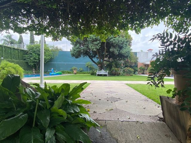 place photo 58
