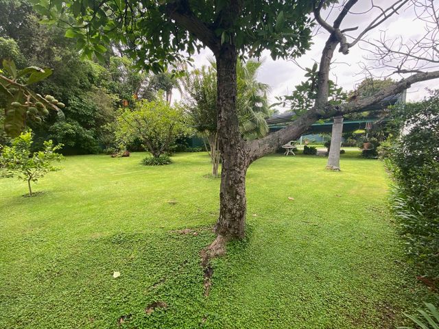 place photo 53