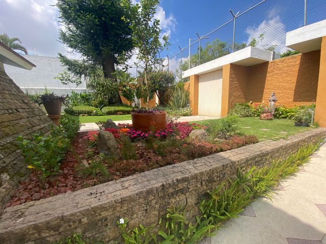 place photo 38