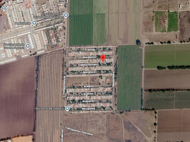 place photo 8