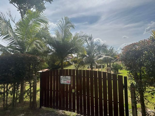 place photo 45