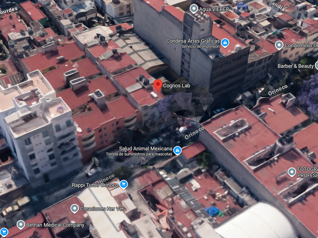 place photo 8