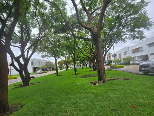 place photo 26